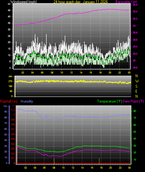 24 Hour Graph for Day 11